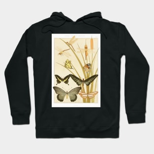 Papillons (1897) Hoodie